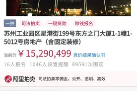 超出评估价304万元成交，苏州“大秋裤”豪宅成功拍卖图片