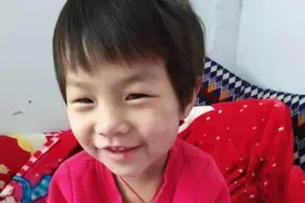 全城发动，动物园里与大猩猩“对话”的小朋友找到了图片