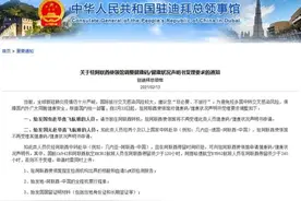 中国驻阿联酋使领馆调整健康码健康状况声明书受理要求图片