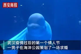 浪漫！武汉男子水下单膝跪地向女友求婚，网友送上祝福图片