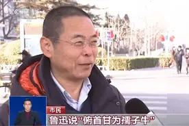 2021年出生的小孩都属牛吗？这些牛年冷知识，你知道多少图片