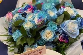 何猷君晒情人节礼物遭奚梦瑶调侃：你的直男审美“深藏blue”图片