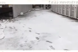 武汉，别来无恙图片