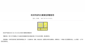 准备返程的赶紧看！杭州发布大雾黄色预警，省内多条高速收费站关闭图片