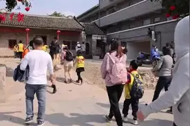 喂牛、挖红薯、跳篝火舞……在南宁过年这么好玩图片