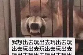 2月特价机票来了，从成都出发低至180元图片
