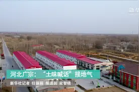 河北广宗：“土味喊话”接地气视频封面