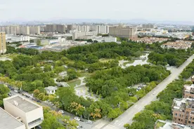 在海曙寻年味·集士港：牛年大“集”缤纷来袭，今春与你相约图片