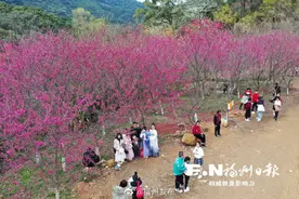 我和山樱花有个约会图片