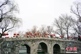 抢红包？云拜年？过年有了这些新的打开方式图片