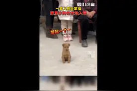 有爱瞬间！拍全家福小狗悄悄入镜……图片