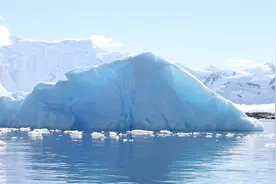 南极冰层下发现不明生物 来自何处、以何为食成谜图片