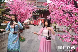 组图丨人面桃花相映红图片