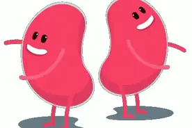 尿毒症的人越来越多，医生劝你：4种食物尽量少吃，肾会感激你图片