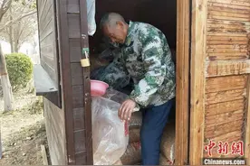 黄河岸边的“天鹅爸爸”：相守19载 春暖送北归图片