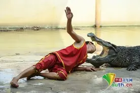 心惊肉跳一幕 泰国表演者将头伸到鳄鱼嘴里图片