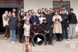 拍全家福小狗自动入画，网友：一家人就要整整齐齐图片