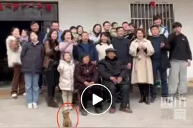 拍全家福小狗自动入画，网友：一家人就要整整齐齐图片
