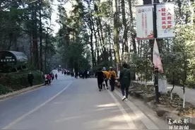 “明明有垃圾桶，为何要乱扔？”昆明西山，这一幕太辣眼图片