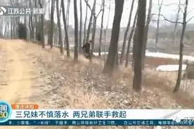 10岁妹妹落水，两个哥哥施救不料相继掉河里！关键时刻，来了一对兄弟…图片