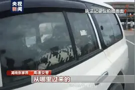 春节长途自驾累？后排座椅改成床！这个爸爸可真敢想图片