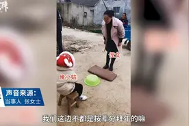 24岁侄女给4岁姑姑磕头要红包，网友：压岁钱就这么被“骗”走了图片