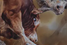 胡“大牛”画牛视频封面