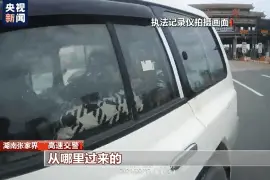 春节长途自驾累？后排座椅改成床！这个爸爸可真敢想图片