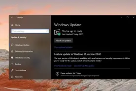 微软承认Windows 10 KB4601319补丁存在问题 承诺修复图片
