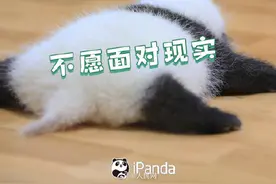 明天要上班，你准备好了吗？图片
