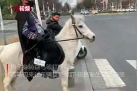 南京小伙骑马上街  民警劝导下马牵行视频封面