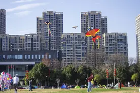 成都：市民公园草坪上嘻戏玩耍放风筝 度过轻松愉快假期图片