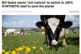 牛年不让吃牛肉了？比尔•盖茨呼吁：为拯救地球，富裕国家应改用100%植物性合成牛肉图片