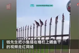 江苏男子家院子护栏上插满鱼干晾晒，网友：你这是来秀院子的图片