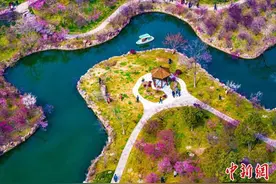 瘦西湖湖上梅林赏梅季 再现清代扬州“平冈艳雪”盛景图片