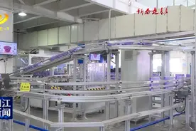 维达阳江基地今年产量将超10万吨图片