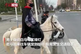 南京一小伙骑马上街被劝阻 下马牵行图片