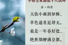 雨水•诗节丨春雨至，万物生！等一片春暖花开图片