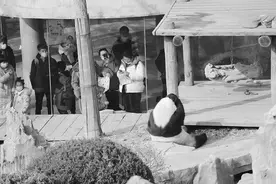 大连接待游客60.37万人次图片