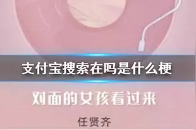 支付宝搜索在吗是什么梗？支付宝在吗是什么意思？图片