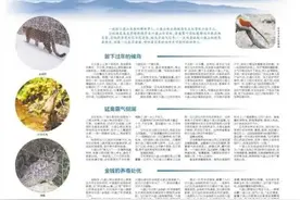 六盘山秘境鸟兽传奇图片