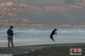 新西兰解除奥克兰为期3天疫情封锁 解封首日人流稀少图片