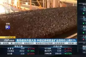 有色板块开盘大涨 中信证券将紫金矿业目标价上调83%视频封面