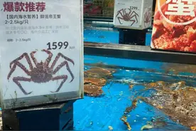 直播回放｜帝王蟹破千，小黄鱼白菜价，海鲜便宜没？开工第一天，水产市场第一手信息来了图片