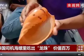泰国司机海螺里吃出“龙珠”，价值百万！网友：集齐七颗能召唤神龙不？图片