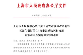 2023年起 上海市购买插混车型不再送绿牌图片