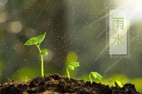 雨水节气：关于春雨的10首诗词，一起来品读图片