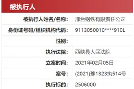邢钢怎么了？资金问题发酵资产曾被冻结 建龙集团强势托管图片