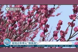 就近享受好时光！就地过年带火“微旅游”，江苏旅游市场强劲恢复视频封面