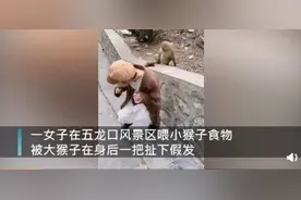 住手！你这泼猴儿图片